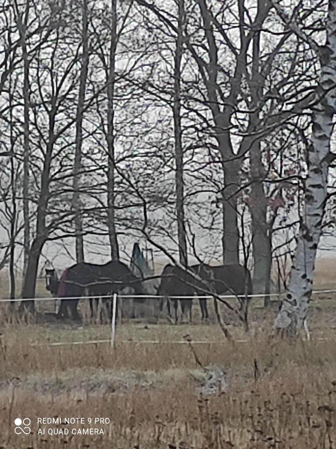 Zakatek Zurawi 2 Vila Świnoujście Exterior foto