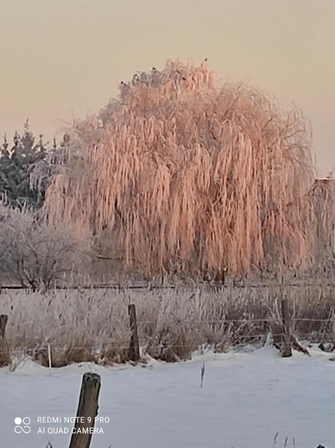 Zakatek Zurawi 2 Vila Świnoujście Exterior foto