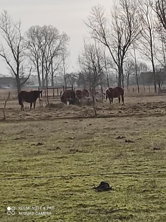 Zakatek Zurawi 2 Vila Świnoujście Exterior foto